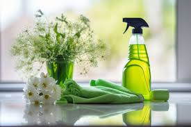 Eco-friendly home cleaning services ensuring a chemical-free living environment